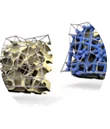 Scaffold effect
